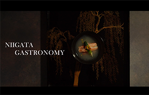 滝沢印刷制作実績